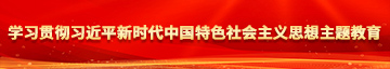 日逼狂叫学习贯彻习近平新时代中国特色社会主义思想主题教育