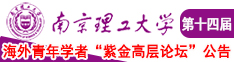 插逼插逼插南京理工大学第十四届海外青年学者紫金论坛诚邀海内外英才！